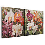 Impression sur toile modulaire Des orchidées aux couleurs éclatantes en pleine floraison