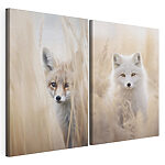 Impression sur toile modulaire Collage représentant deux renards